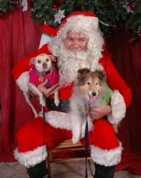 Happy Holidays from Three Girls Media