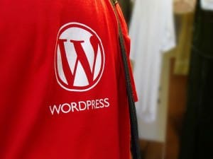 Is your WordPress a mess?