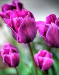 Spring Cleaning Your Business
