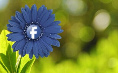 Social Media Monitoring – 4 Tips for Surviving Crisis