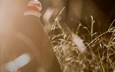 Path – What is it? Why Do I Care?