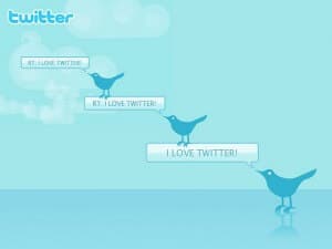 Twitter following: Is Yours the Right Fit?