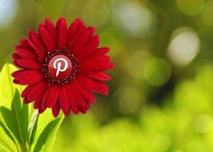 How to Get Pinterest Followers (And the Massive Benefit of Them!)