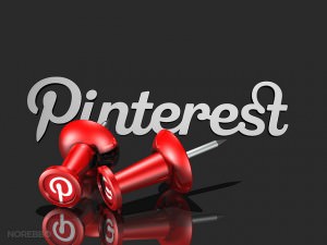 Pinterest for Business [3 Promoted Pin Success Stories]