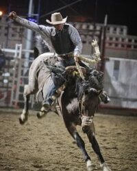 Roping Bulls and Riding Horses: 3 Marketing Lessons from the Walla Walla Rodeo