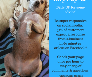Effy Says…Be Responsive!