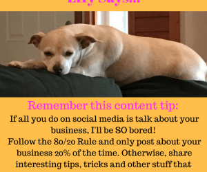 Effy Says…Follow the 80/20 Rule!