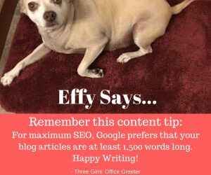 Effy Says…Length Matters!