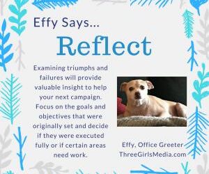 Effy Says…Reflect!
