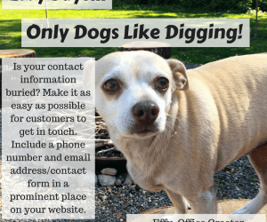Effy Says…Only Dogs Like Digging!