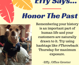 Effy Says…Honor the Past