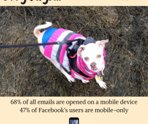 Effy Says…Mobile Matters!