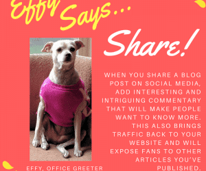 Effy Says…Share!