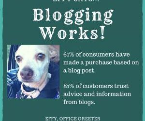 Effy Says…Blogging Works!