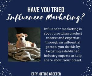 Effy Says…Have You Tried Influencer Marketing?
