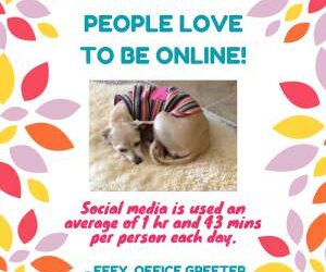 Effy Says…People Love To Be Online!