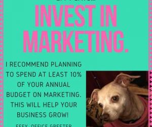 Effy Says…Invest In Marketing