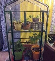 Gardening in a Greenhouse: Tips for PR, Email Marketing and More