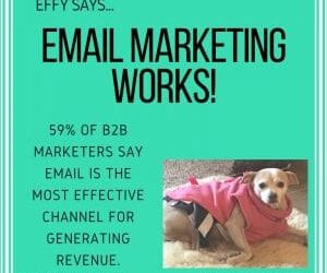 Effy Says…Email Marketing Works!