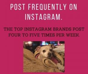 Effy Says…Post Frequently on Instagram!