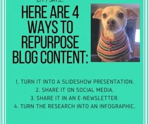 Effy Says…Repurpose Blog Content!
