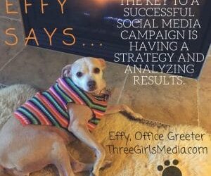 Effy Says…Have a Social Strategy and Analyze!