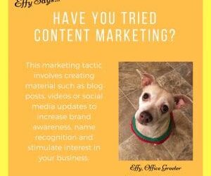 Effy Says…Try Content Marketing!