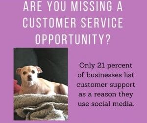 Effy Says…Use Social Media for Customer Service!