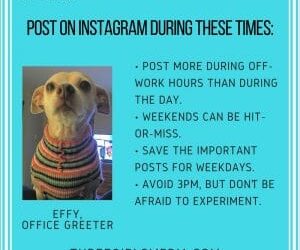 Effy Says…Post on Instagram Strategically!