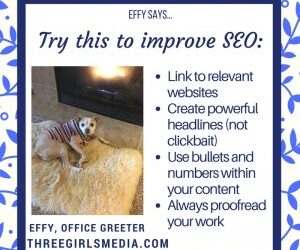 Effy Says…Improve Your SEO!