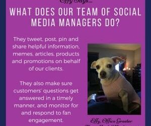 Effy Says…Here’s How Social Media Managers Can Help!