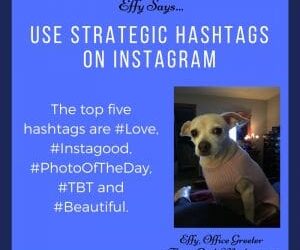 Effy Says…Use Instagram Hashtags Strategically!
