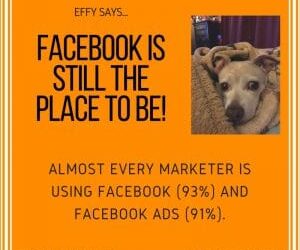 Effy Says…Facebook is the Place to Be!