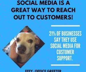 Effy Says…Reach Customers on Social Media!
