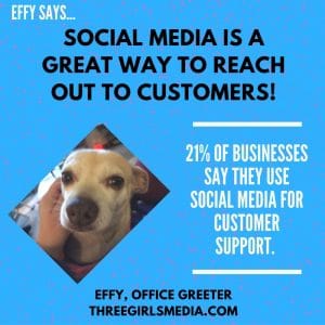 Effy Says…Reach Customers on Social Media!