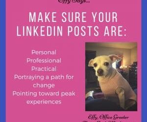 Effy Says…Improve Your LinkedIn Updates!