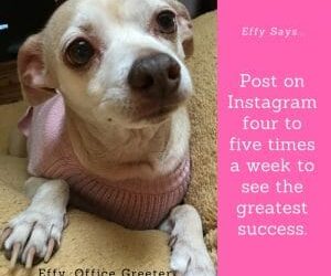 Effy Says…See Instagram Success!