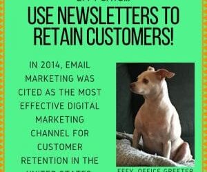 Effy Says…Retain Customers with E-Newsletters!