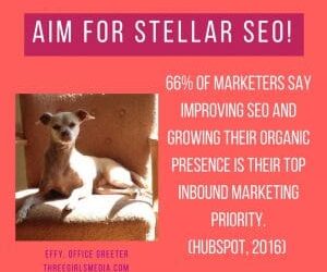 Effy Says…Aim for Stellar SEO!