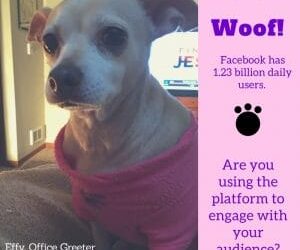 Effy Says…Use Facebook!