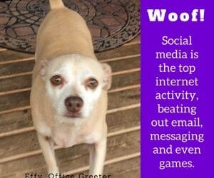 Effy Says…This is the Top Internet Activity!