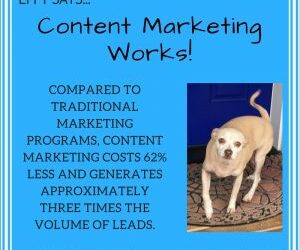 Effy Says…Content Marketing Works!