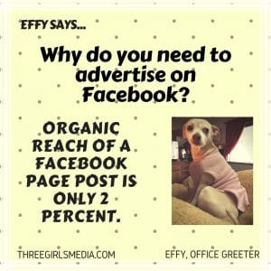 Effy Says…Advertise on Facebook!