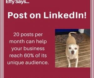 Effy Says…Post on LinkedIn!