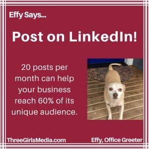 Effy Says…Post on LinkedIn!