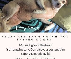 Effy Says…Keep At It!