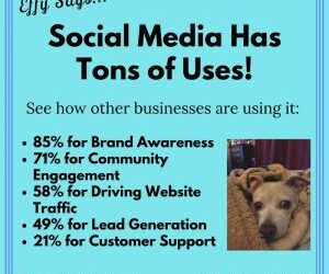 Effy Asks… How Are You Using Social Media?
