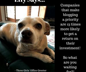 Effy Asks… Is Blogging A Priority for Your Business?