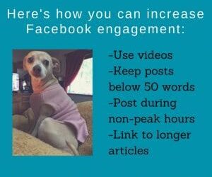 Effy Says… Engage on Facebook