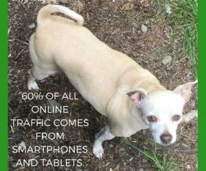 Effy Says… Write for Devices